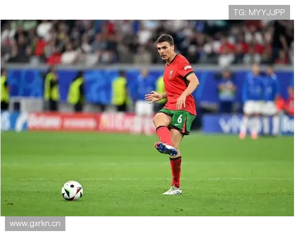 对抗成功率与覆盖范围：帕利尼亚的防守能力