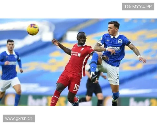 本·怀特本赛季防守数据稳健，状态持续提升